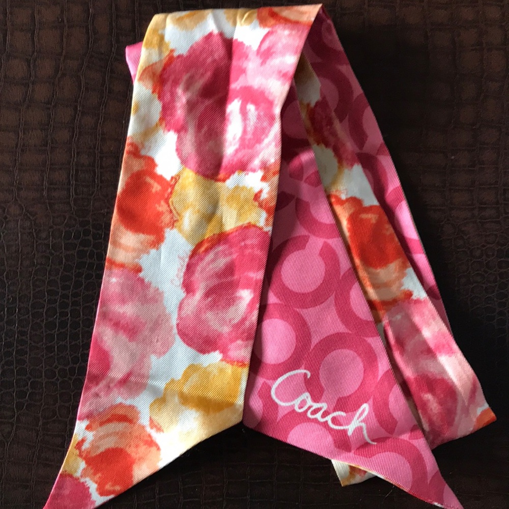 Coach ponytail scarf